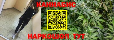 стафф Ставрополь