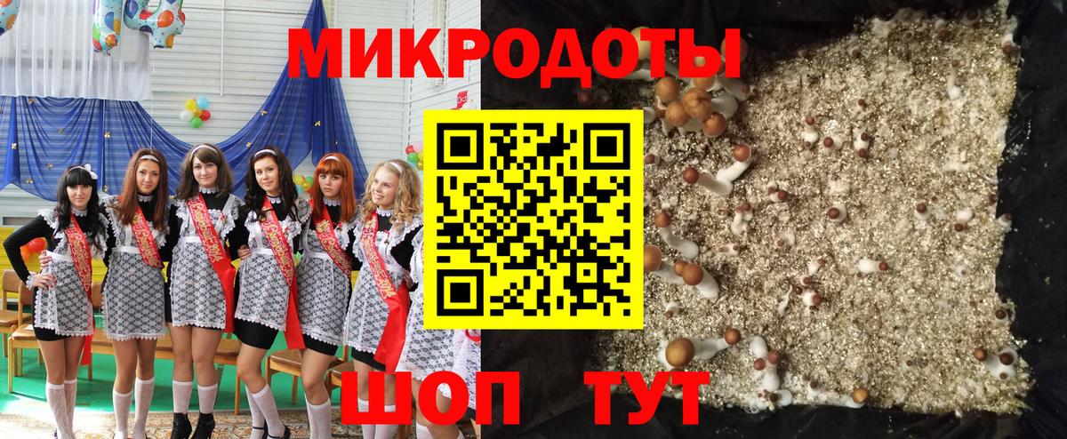 Галлюциногенные грибы ЛСД  Галлюциногенные грибы GOLDEN TEACHER  наркота  Саров  Вход с VPN 